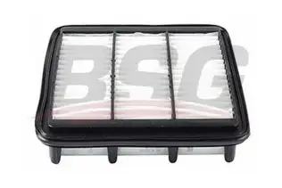 BSG 40135019 Hava Filtresi