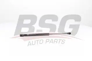BSG 15980007 Motor Kaput Amortisörü