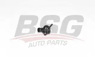 BSG 90126064 Su Flanşı
