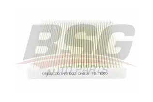 BSG 70145002 Polen Filtresi