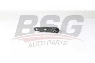 BSG 75310037 Rotil Alt