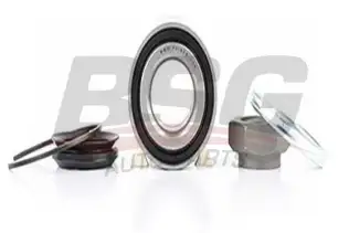 BSG 70605007 Porya Rulmanı Arka