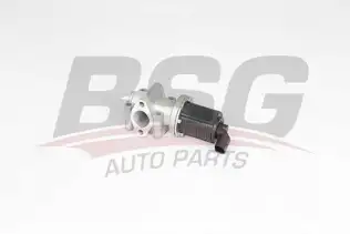 BSG 65836016 Egr Valfi