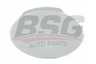 BSG 65922060 Çeki Demir Kapağı Ön