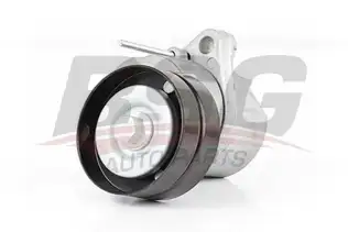 BSG 65615014 V Kayış Gergi Rulmanı