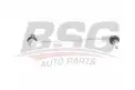 BSG 65310068 Viraj Askı Rotu