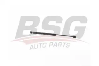 BSG 15980069 Bagaj Amortisörü