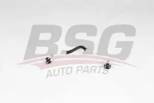 BSG 60725013 Yakıt Hortumu