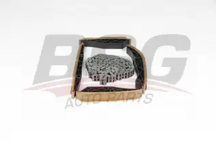BSG 60102006 Eksantrik Zincir Seti