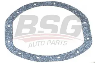 BSG 30116015 Diferansiyel Contası