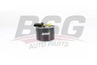 BSG 60130021 Yakıt Filtresi