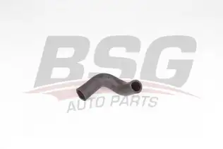 BSG 65700425 Motor Havalandırma Hortumu