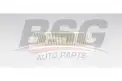 BSG 75145003 Polen Filtresi