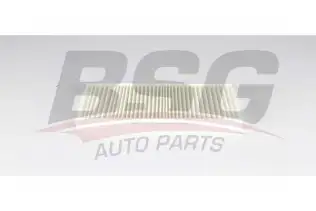 BSG 75145003 Polen Filtresi