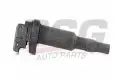 BSG 15835002 Ateşleme Bobini
