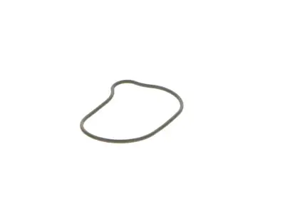 BOSCH 2440210028 O-Ring - 25. Görsel