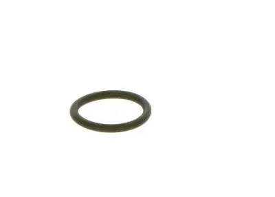 BOSCH F00RJ01452 O-Ring - 24. Görsel