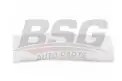 BSG 65925009 Kapı Bandı Arka Sol