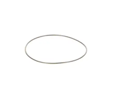 BOSCH 2440210044 O-Ring - 24. Görsel