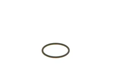 BOSCH F00VC38002 O-Ring - 13. Görsel