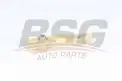 BSG 30109034 Eksantrik Zincir Gergisi