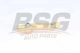 BSG 30109034 Eksantrik Zincir Gergisi