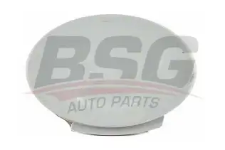 BSG 65922061 Çeki Demir Kapağı Arka