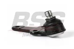 BSG 30310021 Rotil Alt