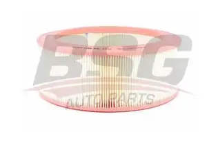 BSG 30135001 Hava Filtresi