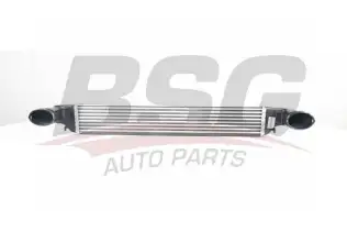 BSG 15535006 Turbo Radyatörü