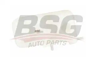 BSG 16550005 Radyatör Yedek Su Deposu