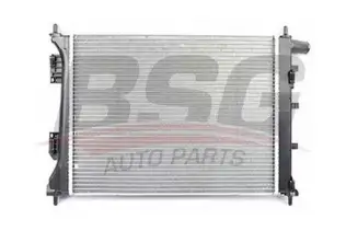 BSG 40520033 Su Radyatörü