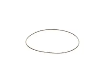 BOSCH 2440210044 O-Ring - 2. Görsel