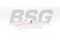 BSG 90130016 Yakıt Filtresi