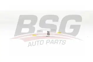 BSG 90130016 Yakıt Filtresi