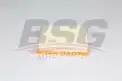 BSG 60135018 Hava Filtresi