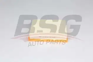BSG 60135018 Hava Filtresi