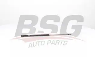 BSG 15980006 Motor Kaput Amortisörü
