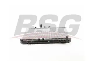 BSG 40520067 Su Radyatörü
