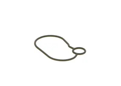 BOSCH 2440210054 O-Ring - 9. Görsel