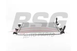 BSG 90520034 Su Radyatörü