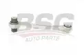 BSG 60310252 Denge Kolu Arka Sağ
