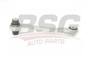 BSG 60310252 Denge Kolu Arka Sağ
