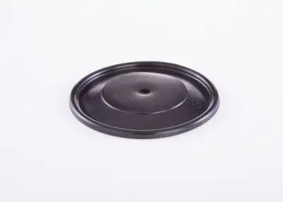 BOSCH 2420503002 Diyafram - 9. Görsel