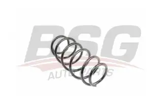 BSG 70305007 Helezon Yayı Arka