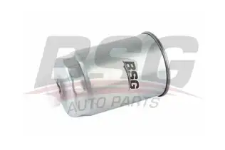 BSG 90130008 Yakıt Filtresi