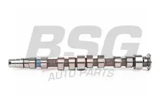 BSG 90108007 Eksantrik Mili