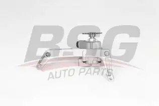 BSG 40101008 Yağ Pompası