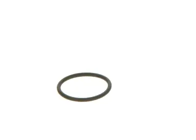 BOSCH 2440210039 Lastik - 20. Görsel