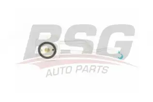 BSG 90506012 Yağ Soğutucusu